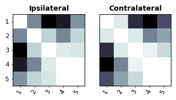 _images/demo_fmri_spm_11_0.png